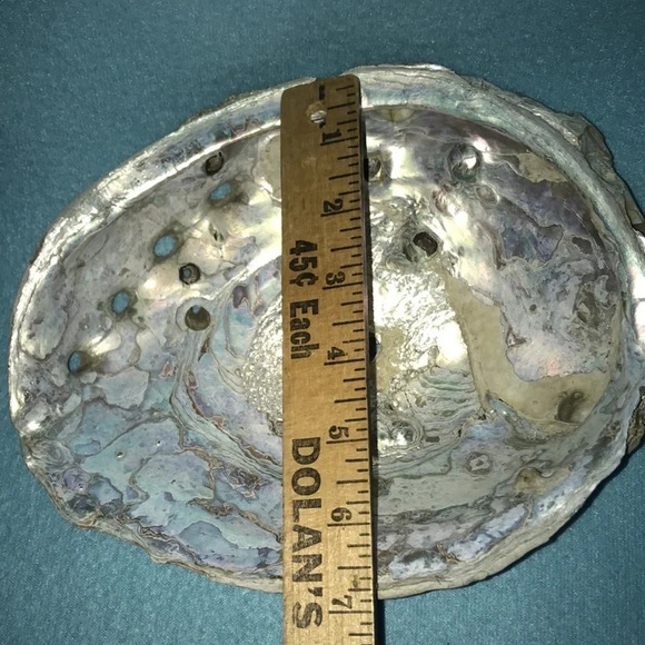 ABALONE shell Pacific Ocean 8 1/2 X 7 - Picture 6 of 7